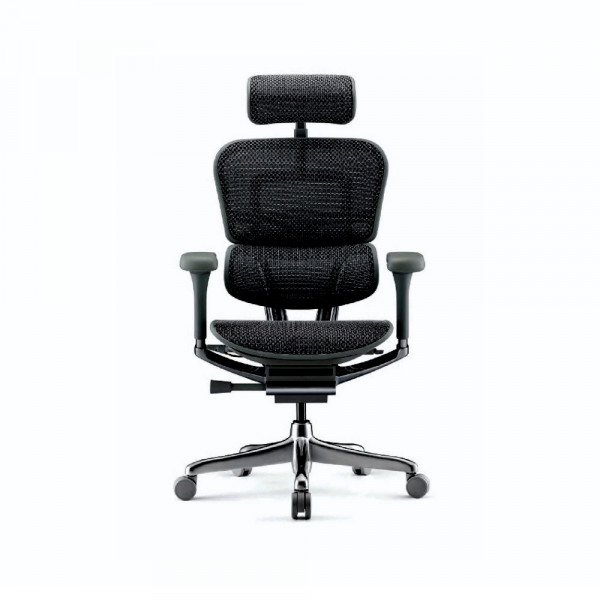 Radna fotelja ERGOHUMAN Elite 2