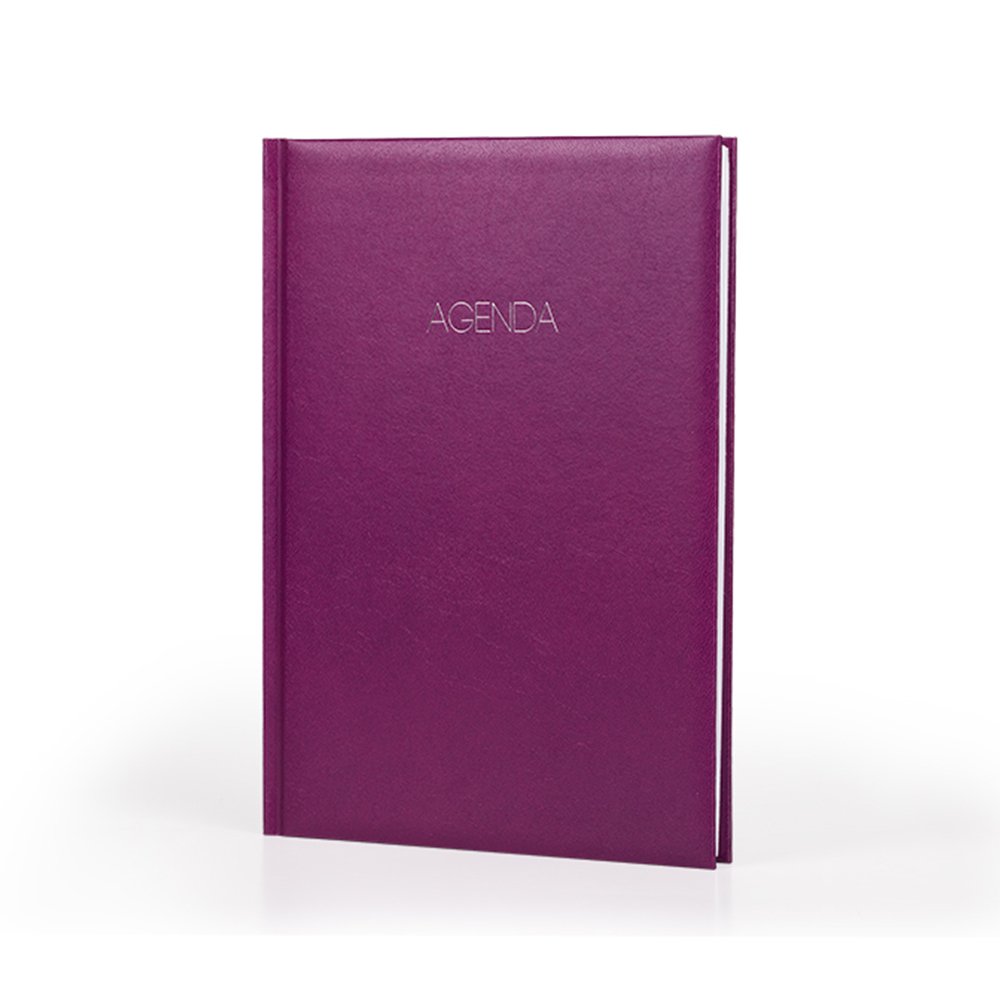 Rokovnik B5 Business - Ljubičasta